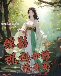 综影视从如懿传开始宫斗
