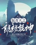 包公探案视频