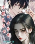 冷艳总裁的佣兵赘婿
