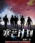 特战:寒芒计划 TXT