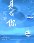 是我倾慕你
