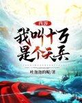 西游:我叫十万,是个天兵 小说