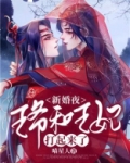 新婚夜,王爷和王妃打起来了