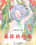 HP森林的祝福