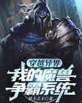 穿越异界:我的魔兽争霸系统免费阅读