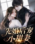 婚后短篇甜宠文小说