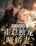 霍总裁的宠妻情深