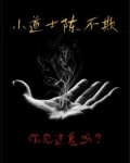 小道士陈不欺小说最新章节更新免费阅读