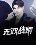 无双战婿陈玄