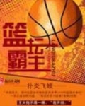 篮坛霸主之路类似小说