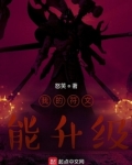 我的符文能升级小说