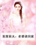 首席前夫:老婆请回家