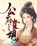 公府贵媳小说