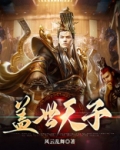 盖世天子免费下载TXT