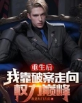小说:扫黑风暴