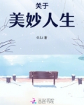 美妙人生小说