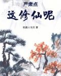 小说严肃