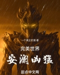 完美世界安澜名言
