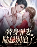 替身情人陆少狂追妻