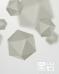 灵道师小说