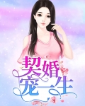 宠婚契约免费阅读