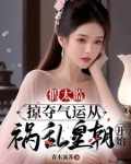 假太监掠夺气运从祸乱皇朝开始