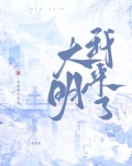 大明我来了小说