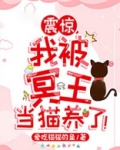 被冥王看上
