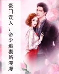 豪门误入:帝少追妻路漫漫