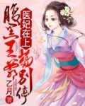 腹黑王爷医妃难求