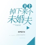 天上掉下来一个未婚妻
