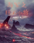 海军之巨石中将小说