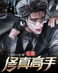 修真高手在花都全文txt