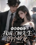 闪婚成宠顾朔