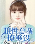狼性总裁玩够了没免费阅读小说