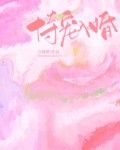 恃宠入婚施O贺砚庭免费阅读