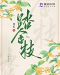 踏金枝小说鸣鉴完结