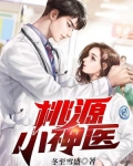 桃源小神医叶不巧