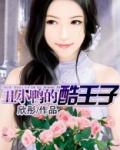 丑小鸭王子漫画风绪by