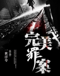 完美罪案