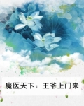 魔医天下:王爷上门来