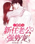 二婚老公实力宠 小说