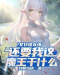 有女仆团的小说