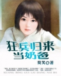 狂兵归来当奶爸
