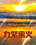 九紫离火运