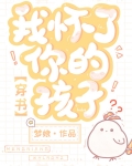 我怀了你的孩子穿书百度云