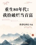 重生80年代我捡破烂当首富下载