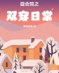 双穿四合院的小说有哪些