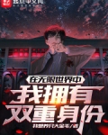 在无限世界中我拥有双重身份TXT