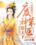 帝凤凰之神医弃妃